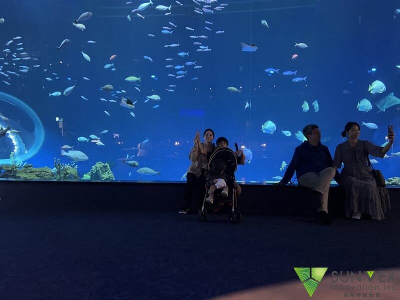 家族で水族館へ